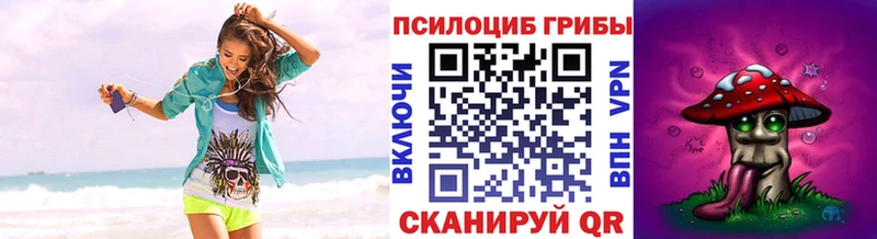 Купить  Стародуб  Псилоцибиновые грибы Psilocybe 